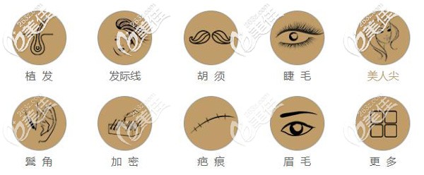 保定熙朵植發(fā)開展項(xiàng)目