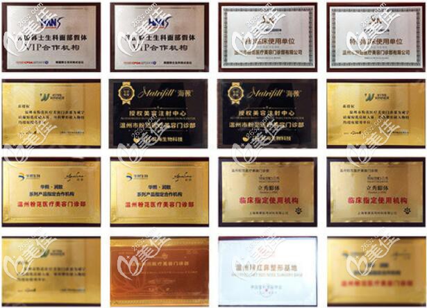 溫州粉范品牌榮譽(yù)