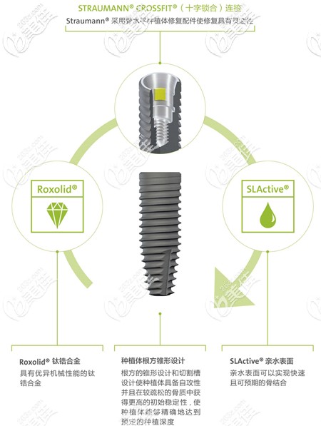 瑞士士卓曼種植體結(jié)構(gòu) 瑞士士卓曼種植體結(jié)構(gòu)