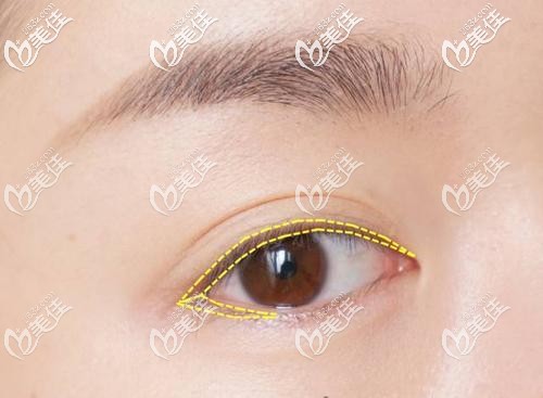 眼尾上揚(yáng)的眼睛 眼尾上揚(yáng)的眼睛