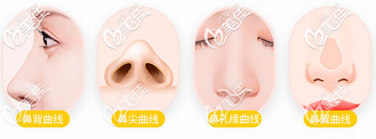 好看的鼻部標(biāo)準(zhǔn)