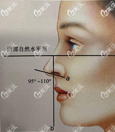 判斷鼻基底是否凹陷 判斷鼻基底是否凹陷