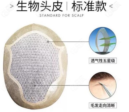 生物頭皮標(biāo)準(zhǔn)款補(bǔ)發(fā)片示意圖 生物頭皮標(biāo)準(zhǔn)款補(bǔ)發(fā)片示意圖