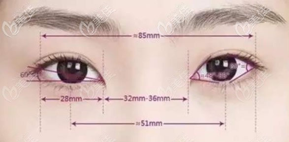 什么樣的眼睛才好看 什么樣的眼睛才好看