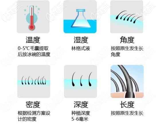 <!--<i data=20240703-sp></i>-->擅長的6度FUE植發(fā)技術優(yōu)勢 <!--<i data=20240703-sp></i>-->擅長的6度FUE植發(fā)技術優(yōu)勢