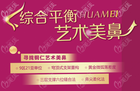 銅仁華美藝術(shù)美鼻