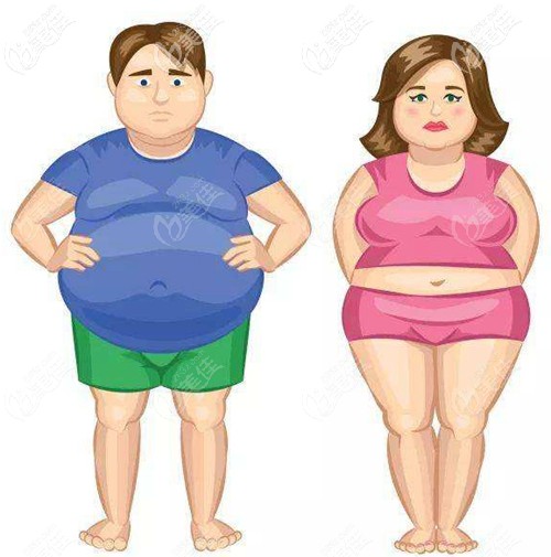 男性和女性肚子大情況不同