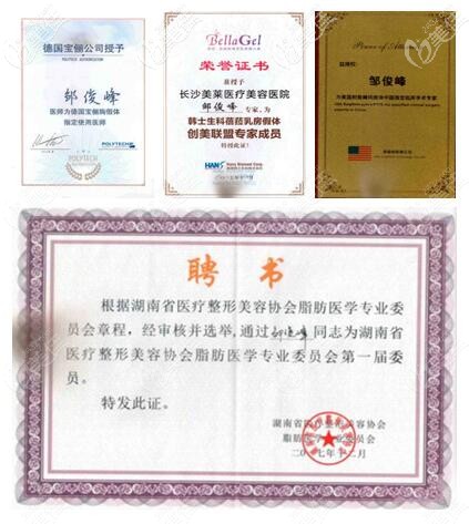 鄒俊峰榮譽證書 鄒俊峰榮譽證書