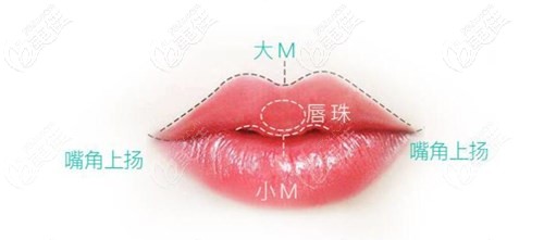 m唇唇形 m唇唇形