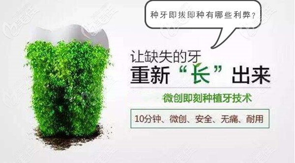 種牙即拔即種的利弊