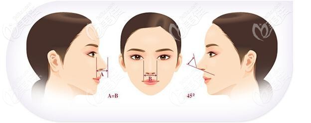 好看鼻子的美學(xué)標準 好看鼻子的美學(xué)標準