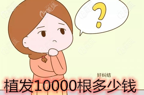 植發(fā)一萬根頭發(fā)多少錢