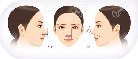 鼻部美學(xué)標(biāo)準(zhǔn)
