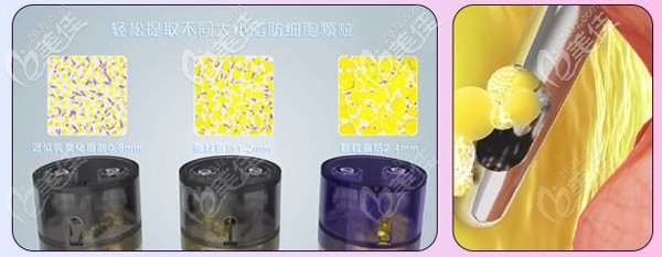 成都恒博天姿可分層提取脂肪