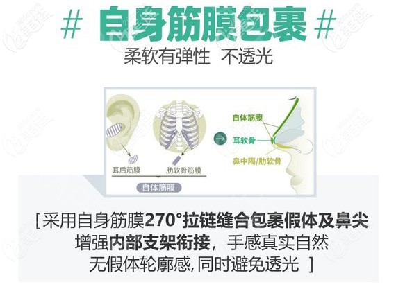 半肋鼻綜合技術(shù)優(yōu)勢 半肋鼻綜合技術(shù)優(yōu)勢