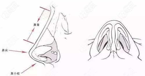 王廣東醫(yī)生隆鼻優(yōu)勢(shì) 王廣東醫(yī)生隆鼻優(yōu)勢(shì)
