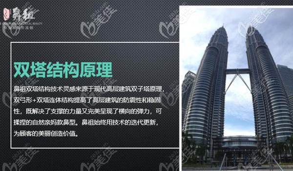 王院長采用的雙子塔隆鼻原理