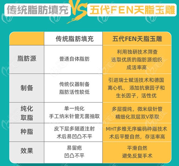 成都恒博天姿與傳統(tǒng)脂肪填充技術(shù)對比