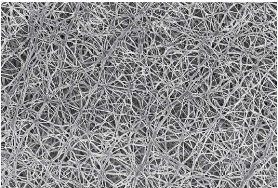 這是顯微鏡下膨體材料的微孔