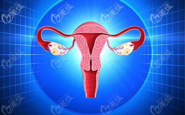 3D私密緊縮術(shù)效果好嗎 3D私密緊縮術(shù)效果好嗎