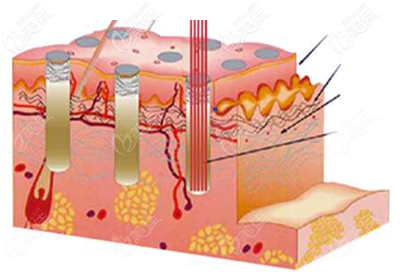 20210223_1614060270401636.png 1.png