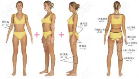 抽脂瘦身圖 抽脂瘦身圖