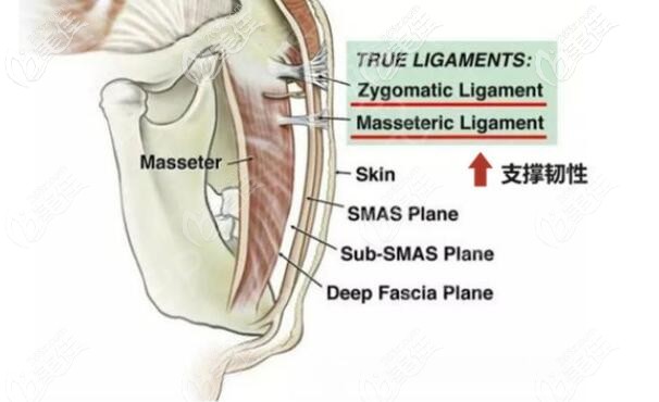 柳民熙面部提升技術(shù)好嗎 柳民熙面部提升技術(shù)好嗎