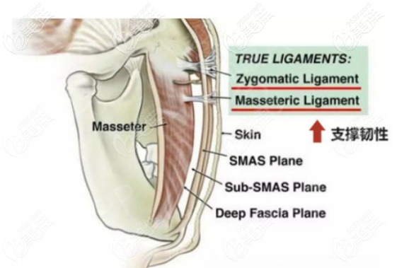 柳民熙醫(yī)生面部提升技術(shù)