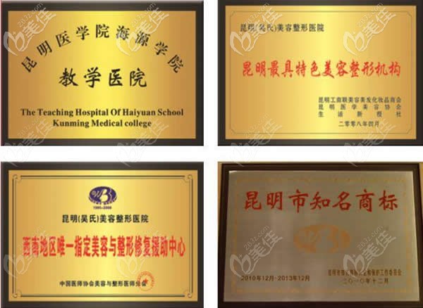 云南吳氏嘉美獲得的榮譽(yù) 云南吳氏嘉美獲得的榮譽(yù)