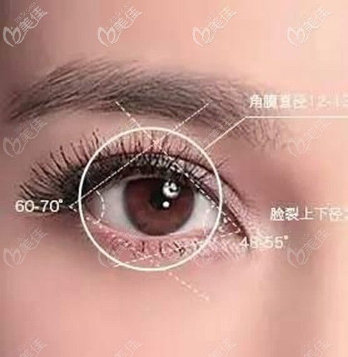 南陽(yáng)維多利亞做雙眼皮的價(jià)格