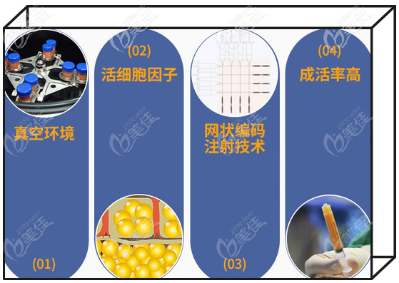 層級活性脂肪豐胸術(shù)的特色