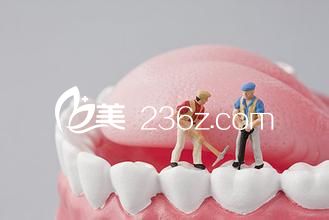 牙齦腫痛，可從潔牙護齒入手