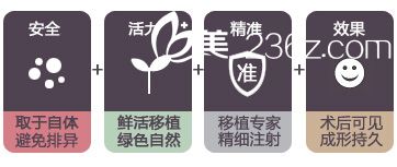 自體脂肪填充下巴